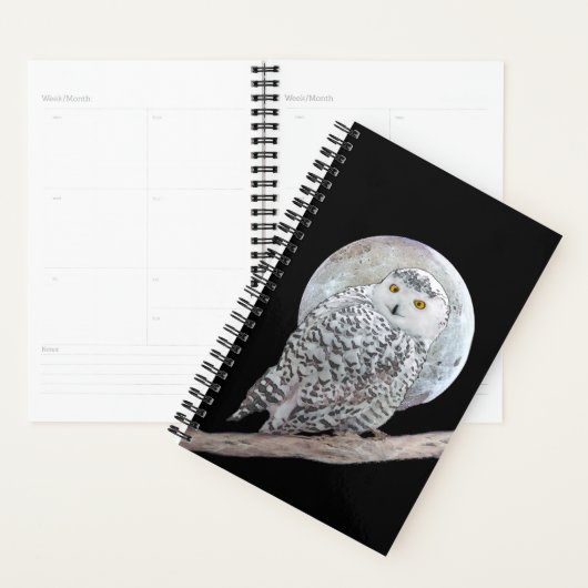 Snowy Owl and Moon Painting - Original Bird Art Planner (Display)