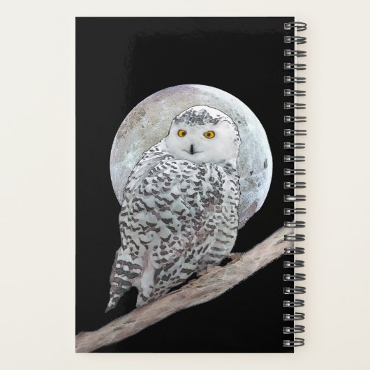 Snowy Owl and Moon Painting - Original Bird Art Planner (Achterkant)