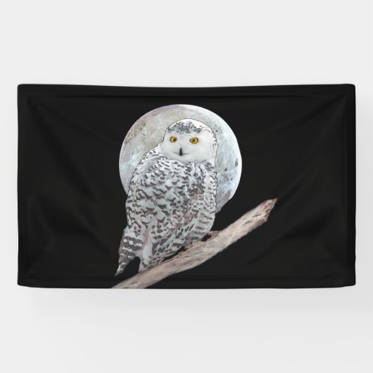 Snowy Owl and Moon Painting - Original Bird Art Spandoek (Horizontaal)