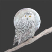 Snowy Owl and Moon Painting - Original Bird Art Sticker (Voorkant)