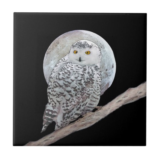 Snowy Owl and Moon Painting - Original Bird Art Tegeltje (Voorkant)