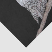 Snowy Owl and Moon Painting - Original Bird Art Tissuepapier (Detail)