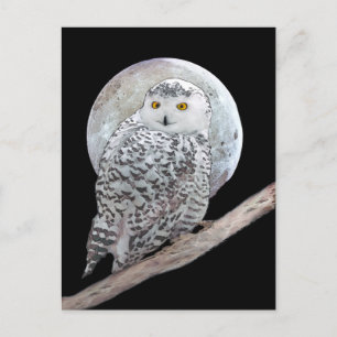 Snowy Owl and Moon Painting - Originele vogelkunst Briefkaart