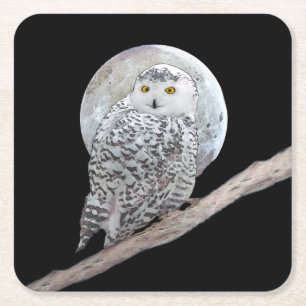 Snowy Owl and Moon Painting - Originele vogelkunst Kartonnen Onderzetters