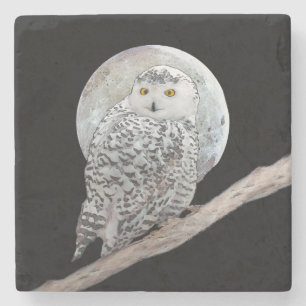 Snowy Owl and Moon Painting - Originele vogelkunst Stenen Onderzetter
