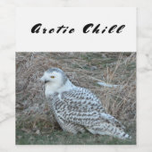 Snowy Owl Arctic Chill Chilling Style Vino vinii Wijn Etiket (Enkel label)