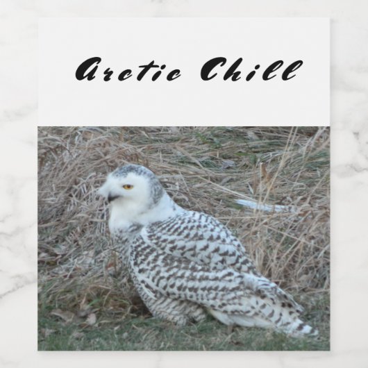 Snowy Owl Arctic Chill Chilling Style Vino vinii Wijn Etiket (Enkel label)