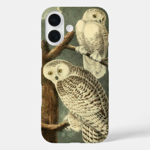 Snowy Owl Audubon Bird Artwork iPhone 16 Hoesje