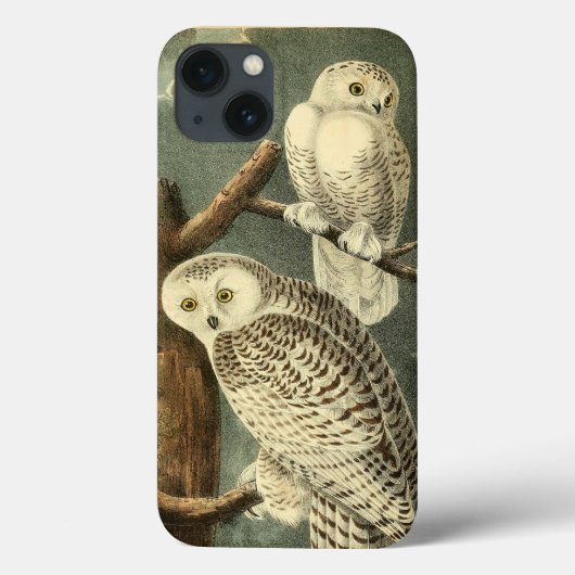 Snowy Owl Audubon Bird Artwork Case-Mate iPhone Case (Achterkant)