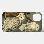 Snowy Owl Audubon Bird Artwork Case-Mate iPhone Case (Achterkant (horizontaal))