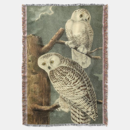 Snowy Owl Audubon Bird Artwork Deken (Voorkant Verticaal)