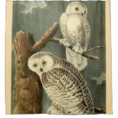 Snowy Owl Audubon Bird Artwork Douchegordijn (Voorkant)