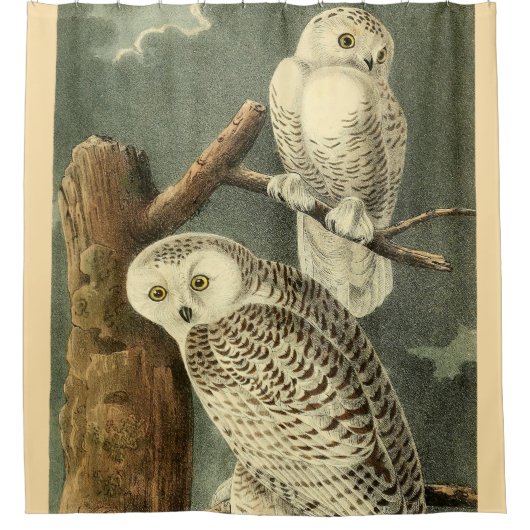Snowy Owl Audubon Bird Artwork Douchegordijn (Voorkant)