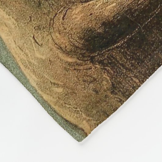 Snowy Owl Audubon Bird Artwork Fleece Deken (Hoek)