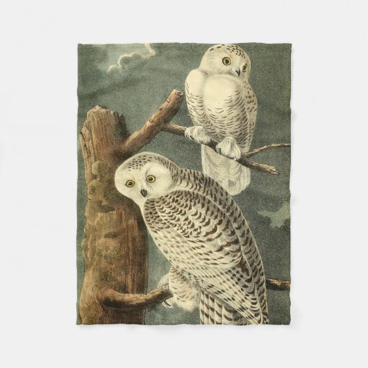 Snowy Owl Audubon Bird Artwork Fleece Deken (Voorkant)