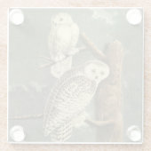 Snowy Owl Audubon Bird Artwork Glazen Onderzetter (Achterkant)