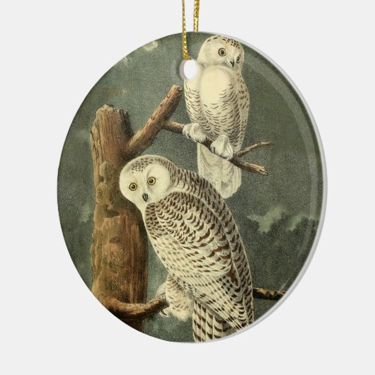 Snowy Owl Audubon Bird Artwork Keramisch Ornament (Links)