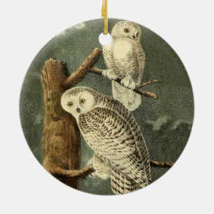 Snowy Owl Audubon Bird Artwork Keramisch Ornament