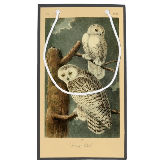 Snowy Owl Audubon Bird Artwork Klein Cadeauzakje (Achterkant)