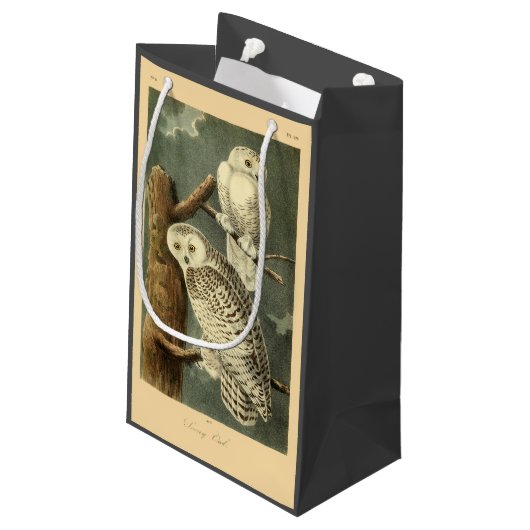 Snowy Owl Audubon Bird Artwork Klein Cadeauzakje (Achterkant Gekanteld)