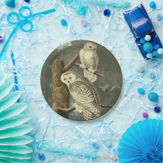 Snowy Owl Audubon Bird Artwork Papieren Bordje (Feest)