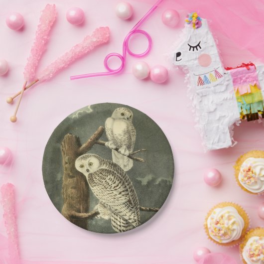 Snowy Owl Audubon Bird Artwork Papieren Bordje (Feest)
