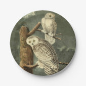 Snowy Owl Audubon Bird Artwork Papieren Bordje (Voorkant)