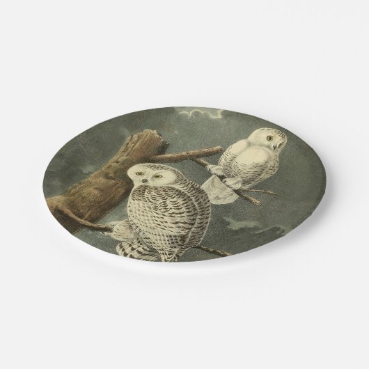 Snowy Owl Audubon Bird Artwork Papieren Bordje (Gekanteld)
