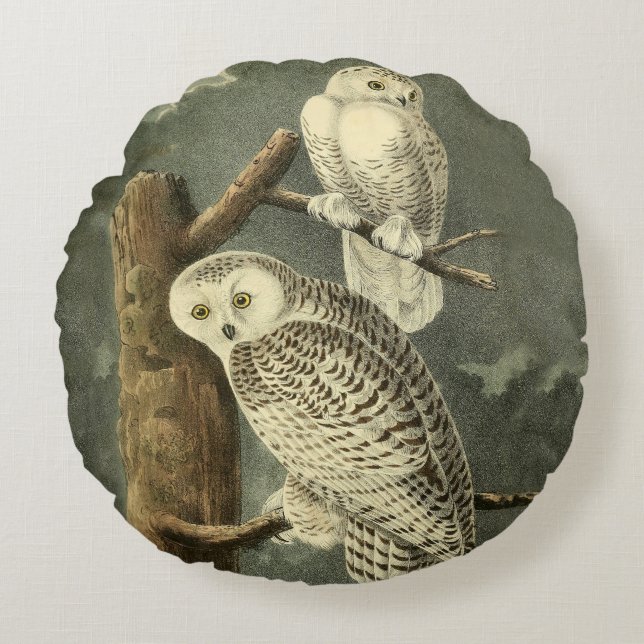 Snowy Owl Audubon Bird Artwork Rond Kussen (Voorkant)