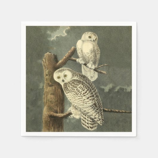Snowy Owl Audubon Bird Artwork Servetten (Voorkant)