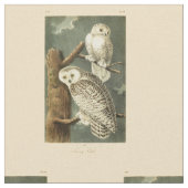 Snowy Owl Audubon Bird Artwork Stof (Close Up)