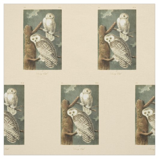 Snowy Owl Audubon Bird Artwork Stof (Swatch)