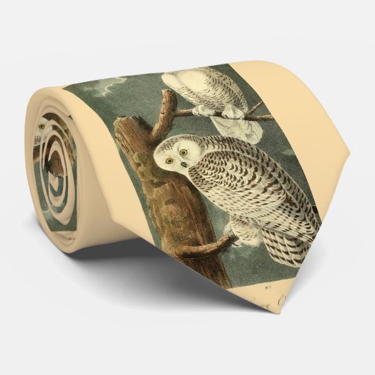 Snowy Owl Audubon Bird Artwork Stropdas (Opgerold)