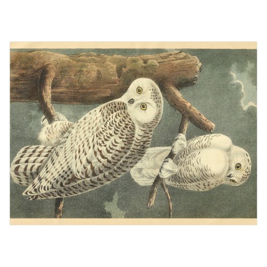 Snowy Owl Audubon Bird Artwork Tafelkleed (Voorkant (Horizontaal))