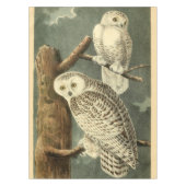 Snowy Owl Audubon Bird Artwork Tafelkleed (Voorkant)