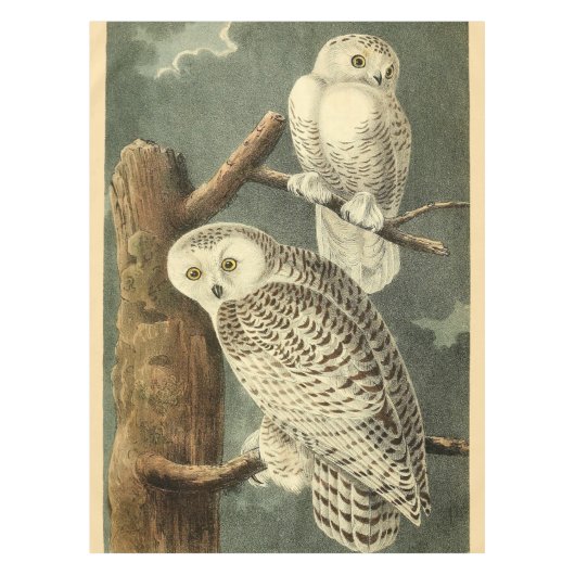 Snowy Owl Audubon Bird Artwork Tafelkleed (Voorkant)
