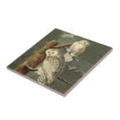 Snowy Owl Audubon Bird Artwork Tegeltje (Zijkant)