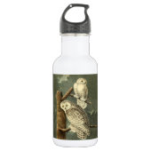 Snowy Owl Audubon Bird Artwork Waterfles (Voorkant)