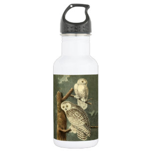 Snowy Owl Audubon Bird Artwork Waterfles