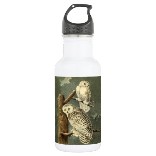 Snowy Owl Audubon Bird Artwork Waterfles (Voorkant)