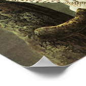 Snowy Owl Audubon Birds of America Fine Art Poster (Hoek)