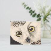Snowy Owl - Audubon Fine  Birds America Briefkaart (Staand voorkant)