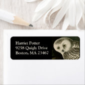 Snowy Owl - Audubon Fine Birds America Etiket (Insitu)