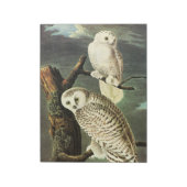 Snowy Owl - Audubon Fine Birds America Notitieblok (Linkerzijde)