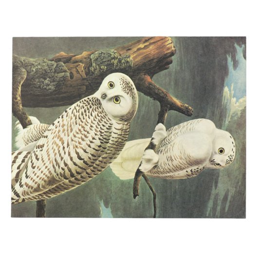 Snowy Owl - Audubon Fine  Birds America Notitieblok (Voorkant)