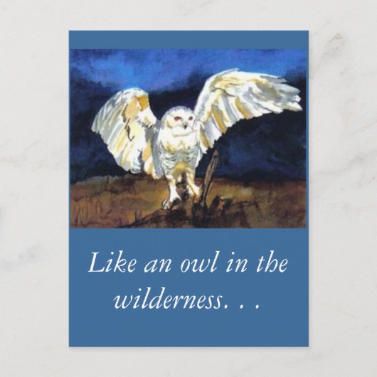 Snowy Owl beroemd gemaakt door Paula Atwell Briefkaart (Voorkant)