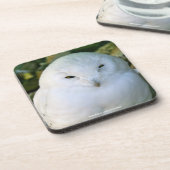 Snowy Owl Bier Onderzetter (Linkerzijde)