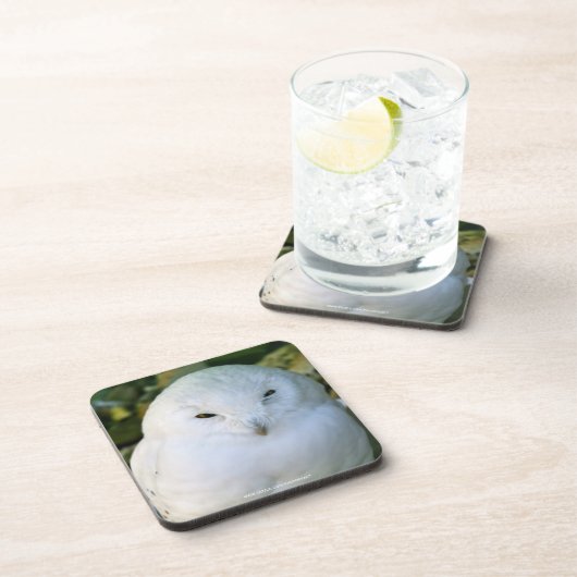 Snowy Owl Bier Onderzetter (Rechterzijde)