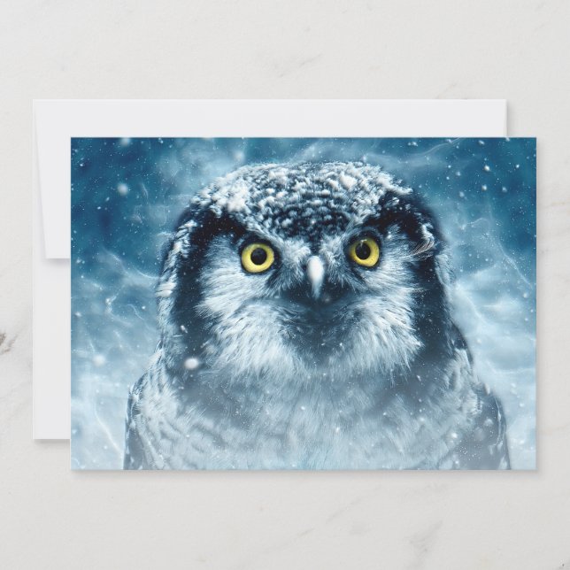 Snowy Owl Big Eyes (Voorkant)