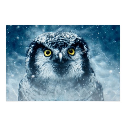 Snowy Owl Big Eyes Perfect Poster (Voorkant)